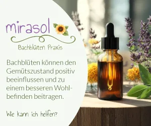 QR Code mirasol Bachblüten Praxis QR Code mirasol Bachblüten Praxis